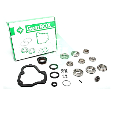 462005610 INA VW 02A Gearbox Bearings Kit