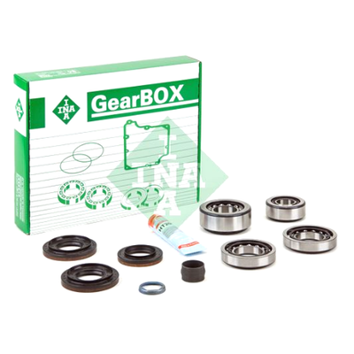 462014810 INA - BMW Gearbox 188L Bearings Diff Kit