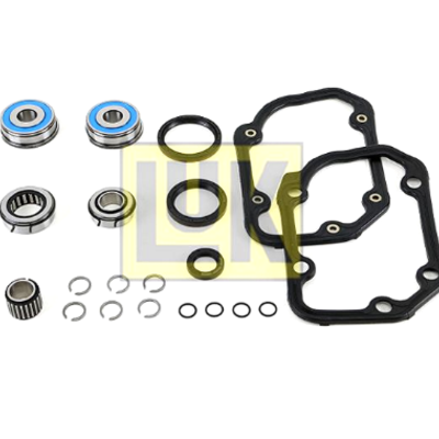 462021210 INA VW 0AF Gearbox Bearings Kit